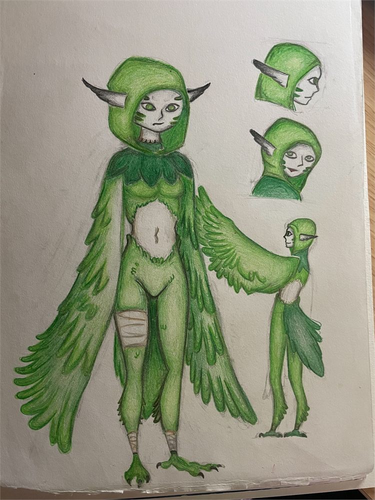 Coloured-pencil character design sheet of a green feathered character, with two head studies and a smaller full-body view
