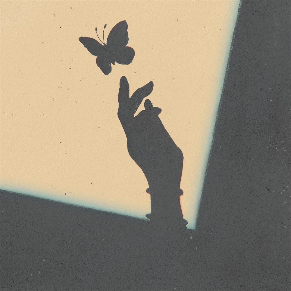 Graphic silhouette of a hand reaching toward a butterfly in a shaft of light