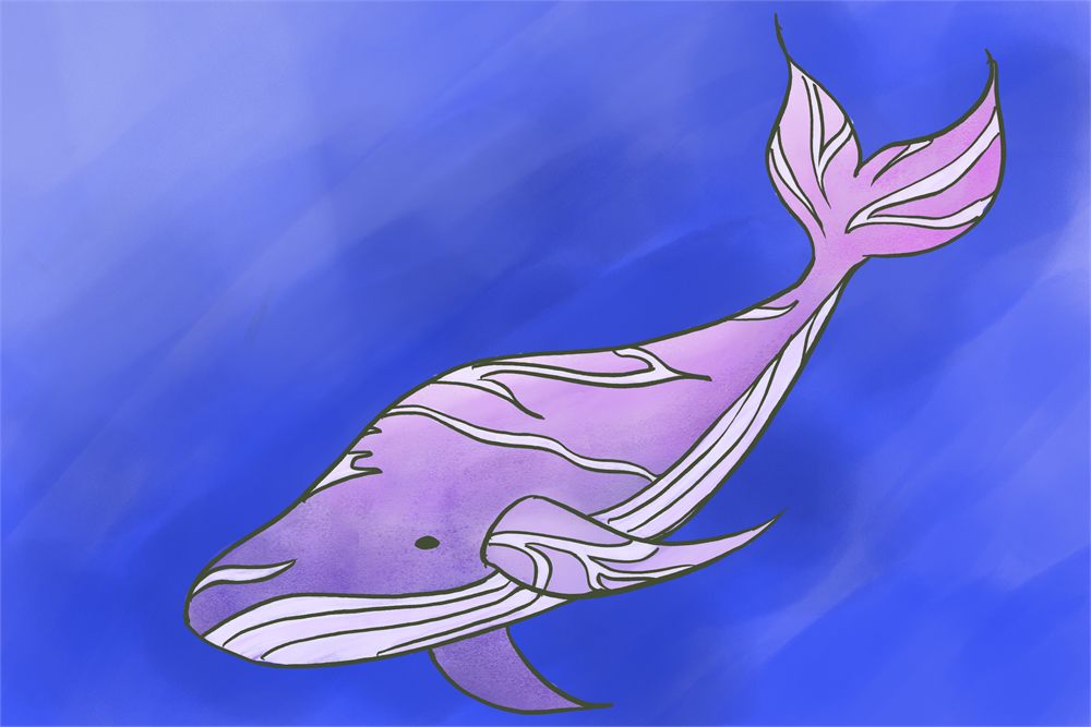 Digital illustration of a purple and pink whale swimming through blue water
